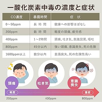 Amazon.co.jp: FieldNew【日本製センサー/アラーム濃度変更OK